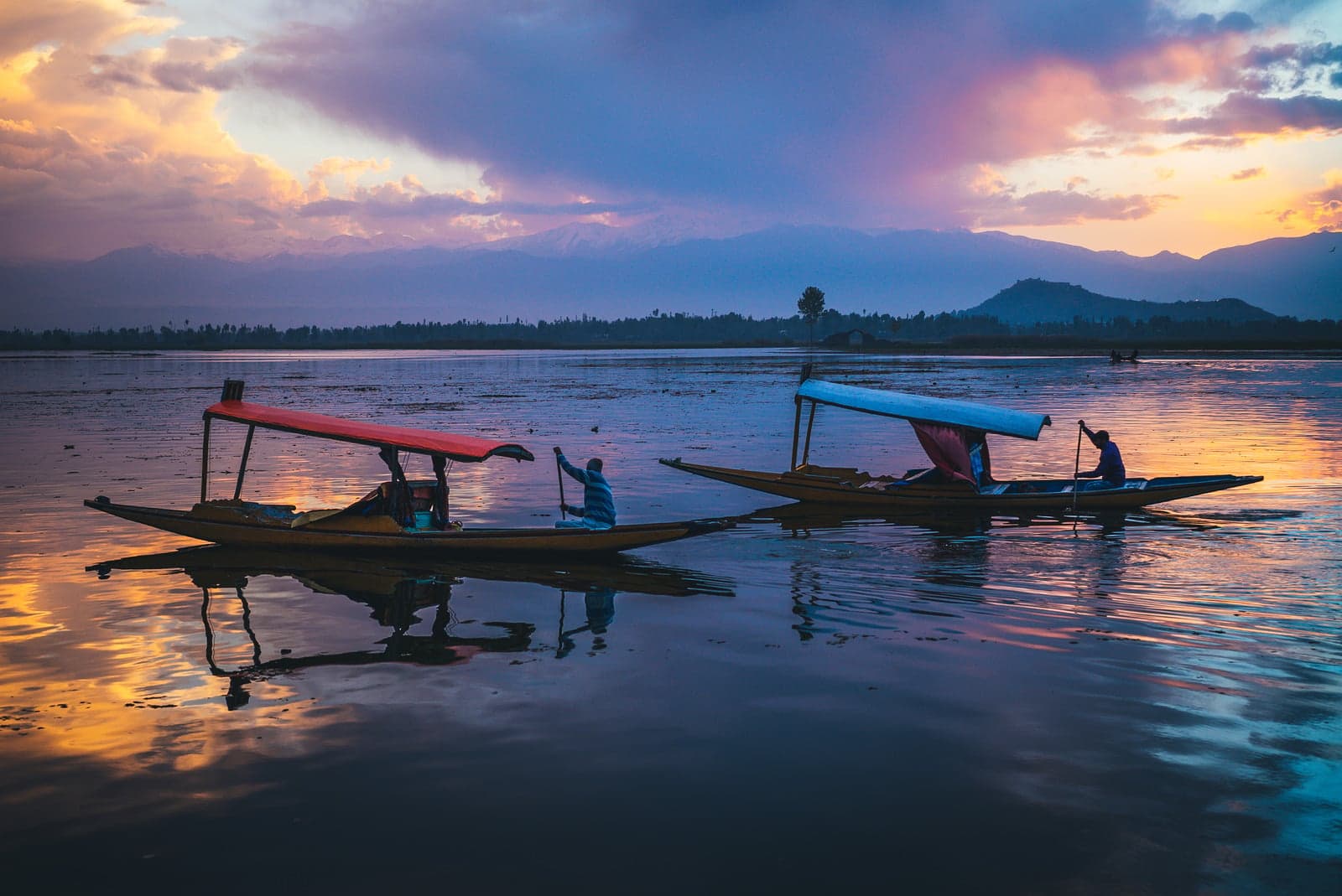 Shikaras on Dal Lake at sunset