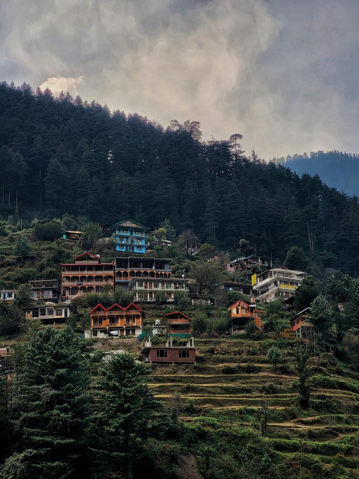 Wooden houses on a forested hillside in Jibhi