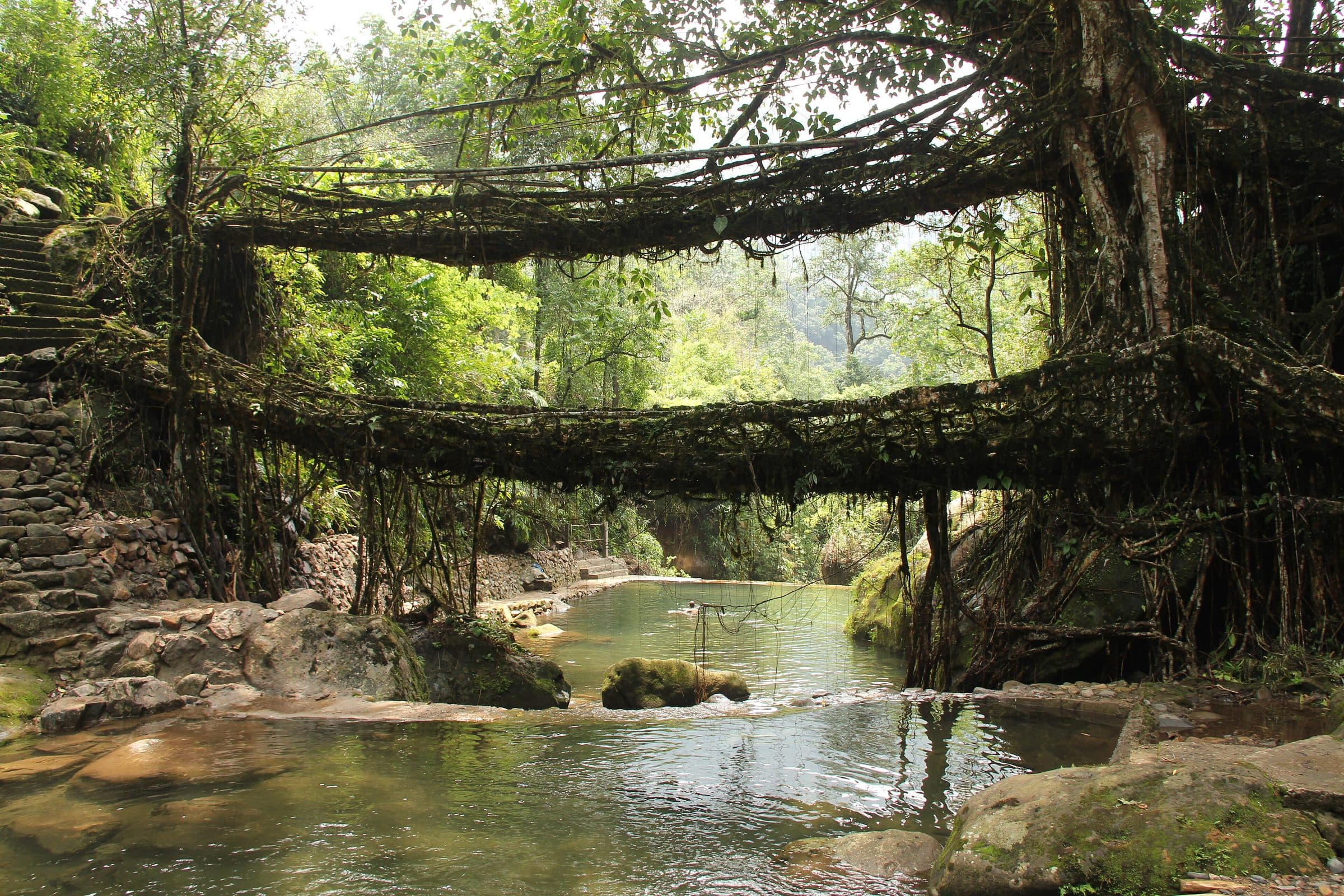 The double-decker living root bridge at Nongriat